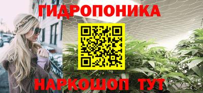 прущие грибы Каменск-Уральский