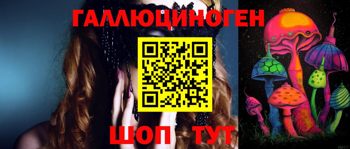 Богданович  Галлюциногенные грибы Psilocybe  Вход с VPN 
